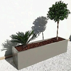blog-image